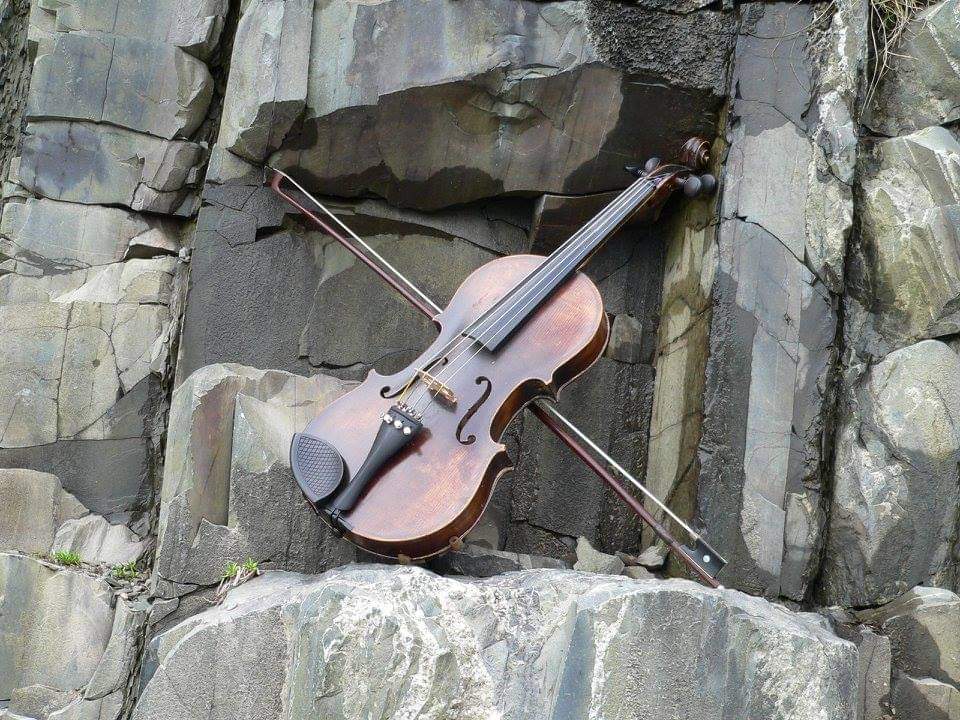 Music & Dance for Youth & Adults – Fiddlehead Folklore Institute